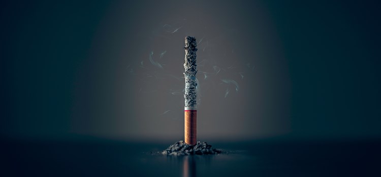 Harmful Effects Of Smoking image