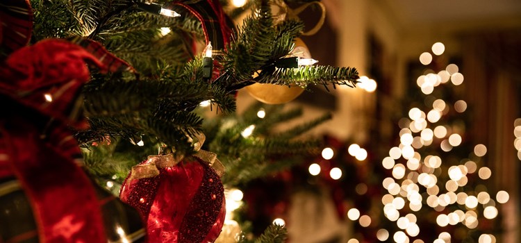 A Guide to a Stress-Free Christmas Celebration image
